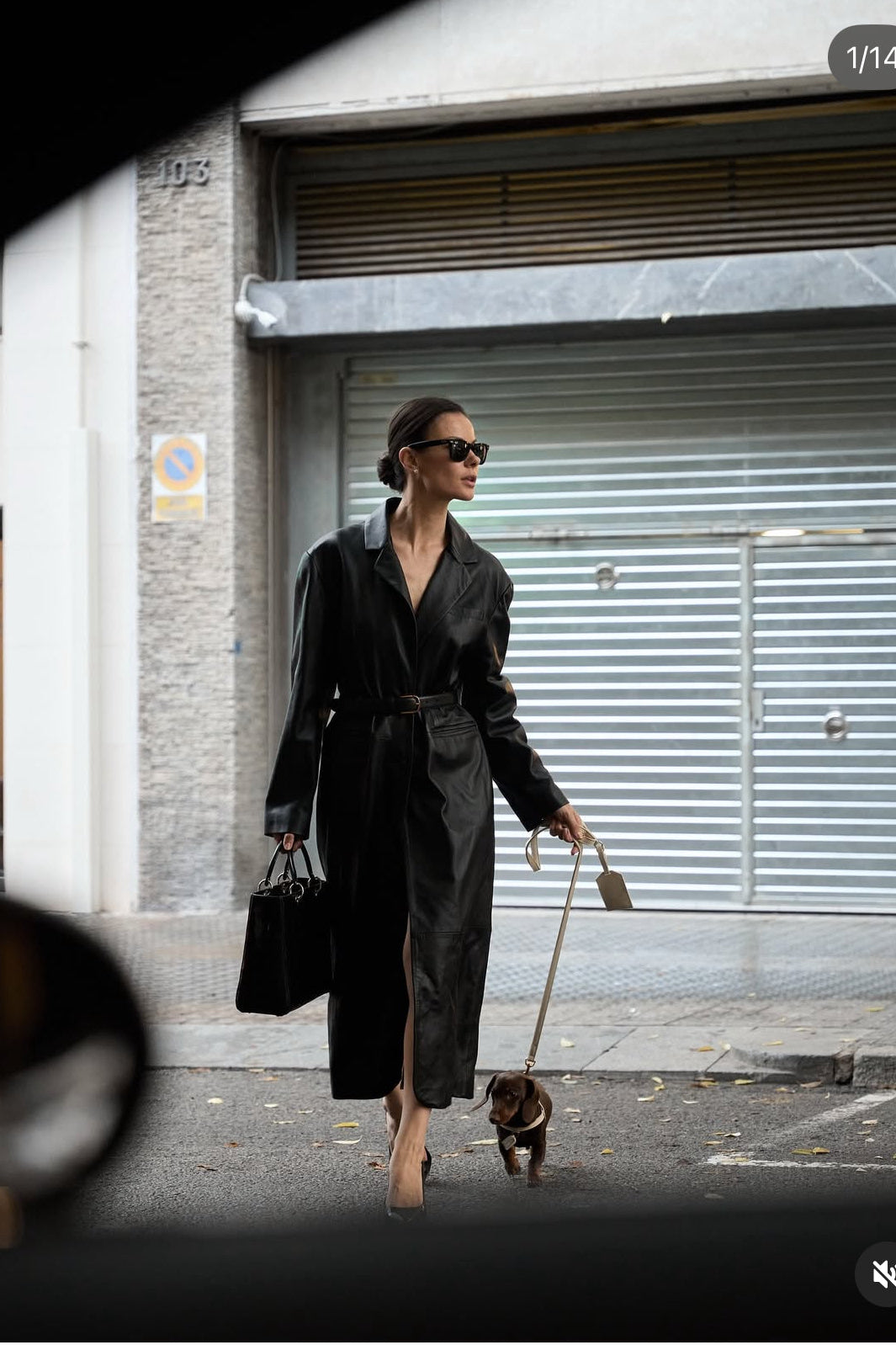Dog-friendly London with Perro Collection