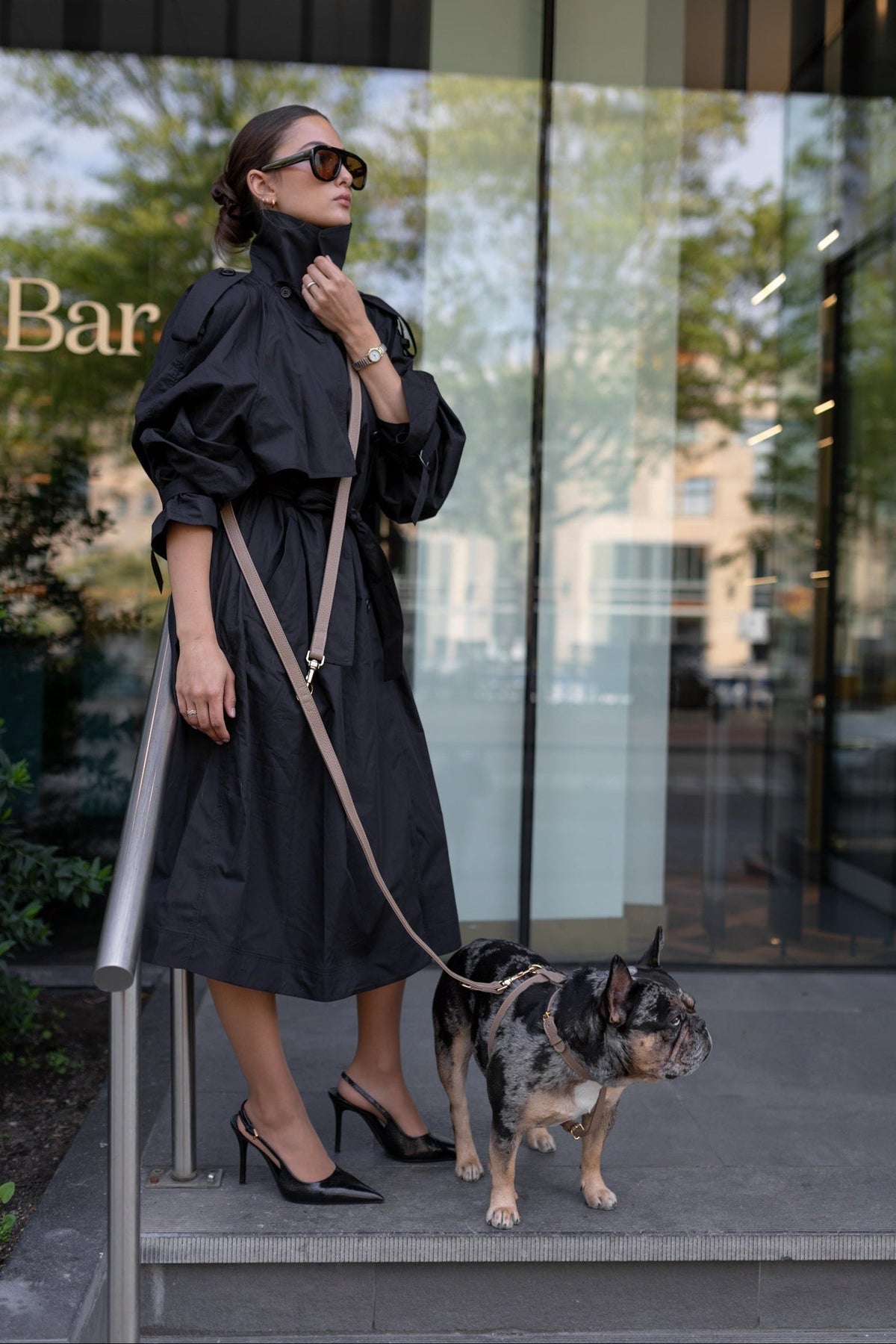 Perro Collection new face, same craft: handcrafted leather dog accessories