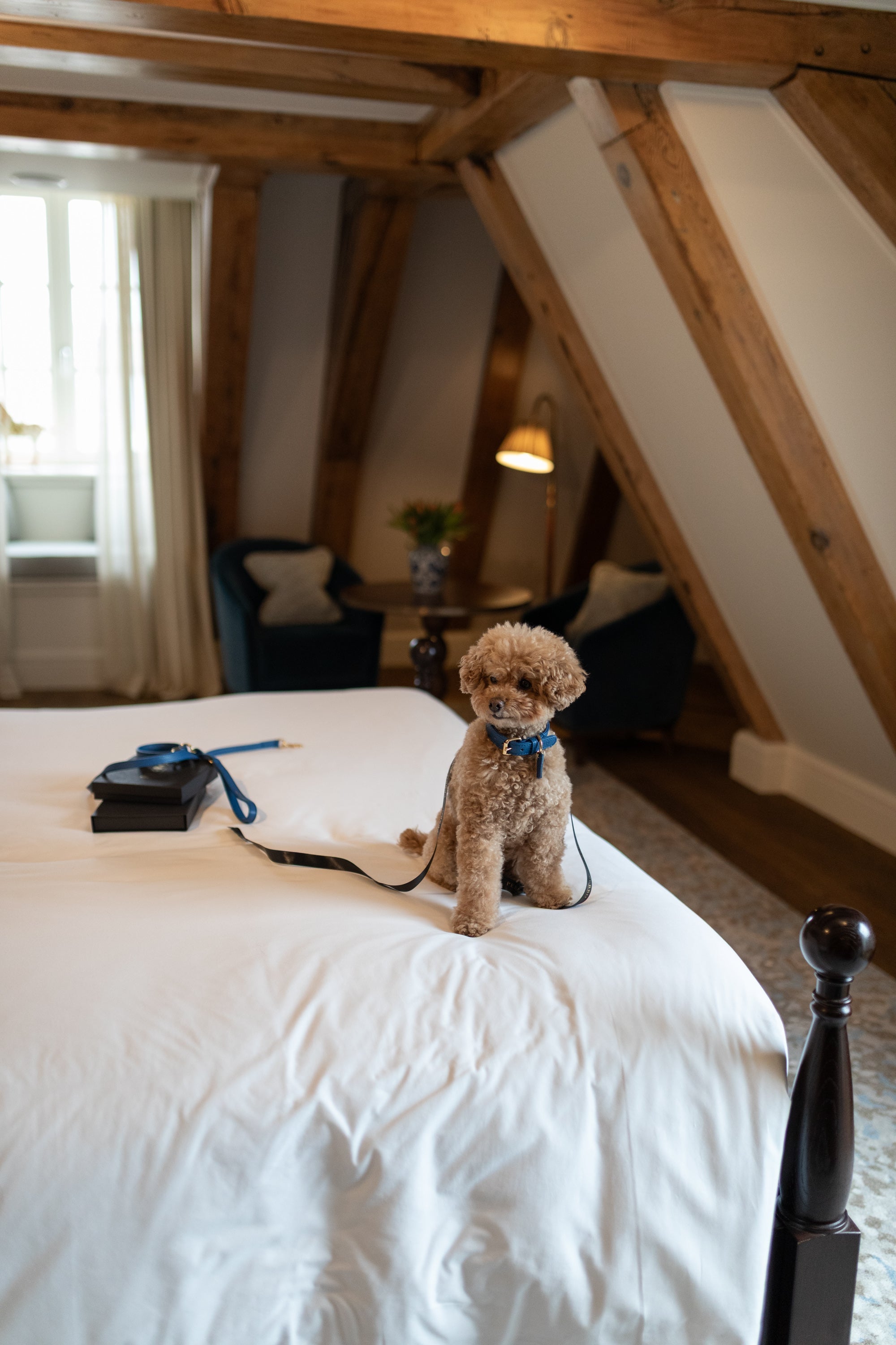 Waldorf Astoria x Perro Collection: A Celebration of Craft, Heritage and Timeless Design | Perro Collection