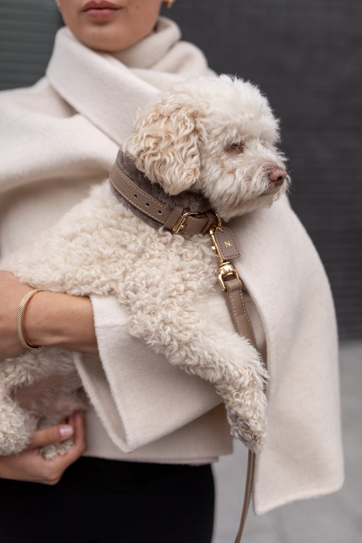 Curly cream dog carried in a wool coat, wearing the Mocha Mousse Fur Collar with multi-layer gold-coloured hardware, an initial tag and the matching Mocha Mousse Fur Leash