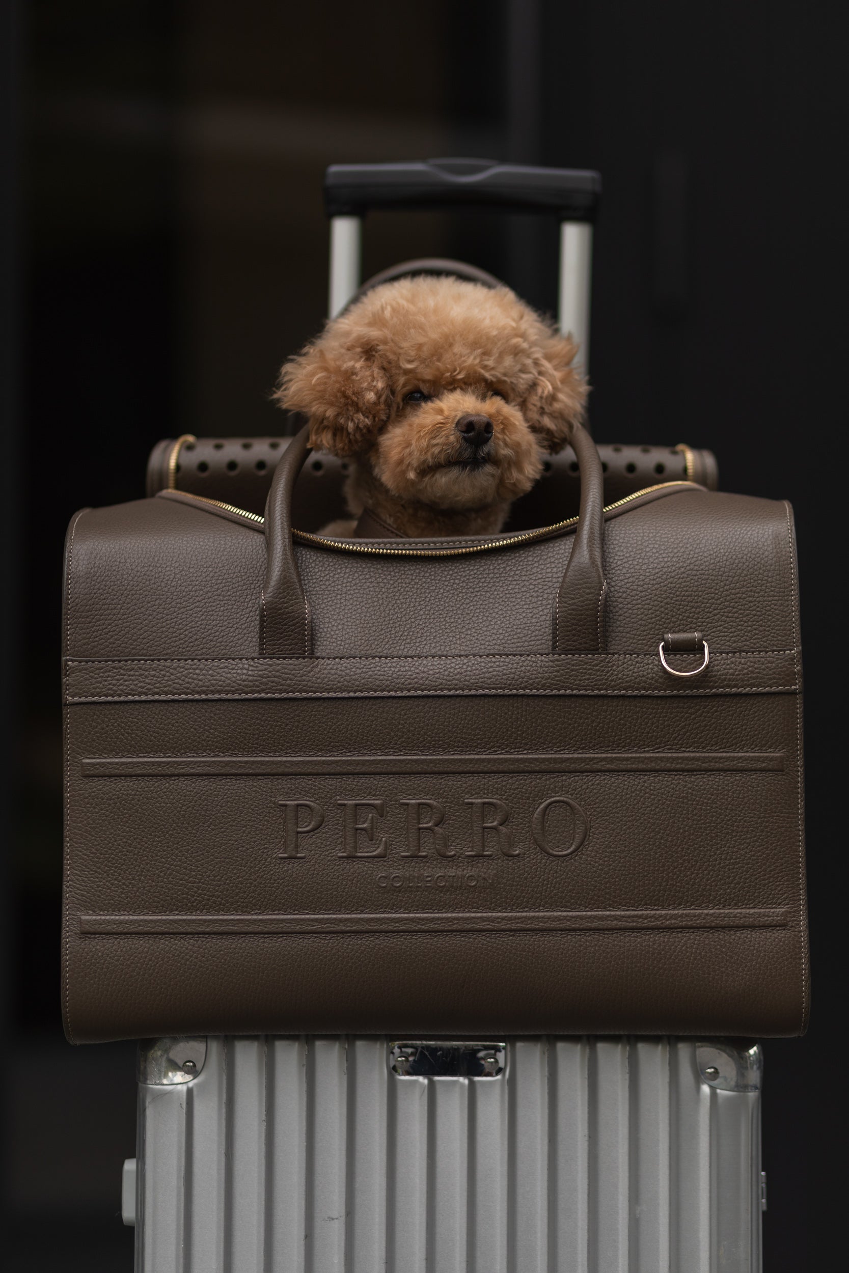 Perro Collection leather dog travel bag, handmade in Italy