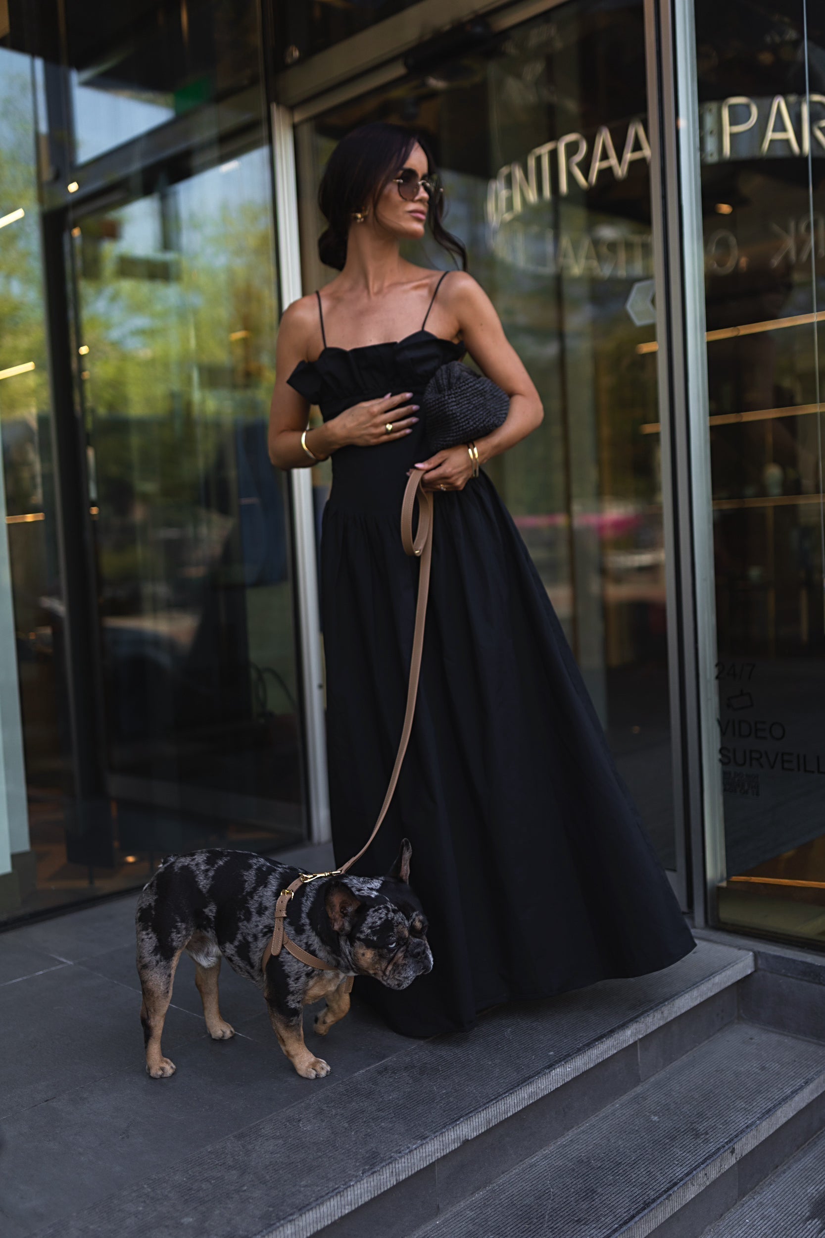 French Bulldog wearing Perro Collection, summer dog accessory trends