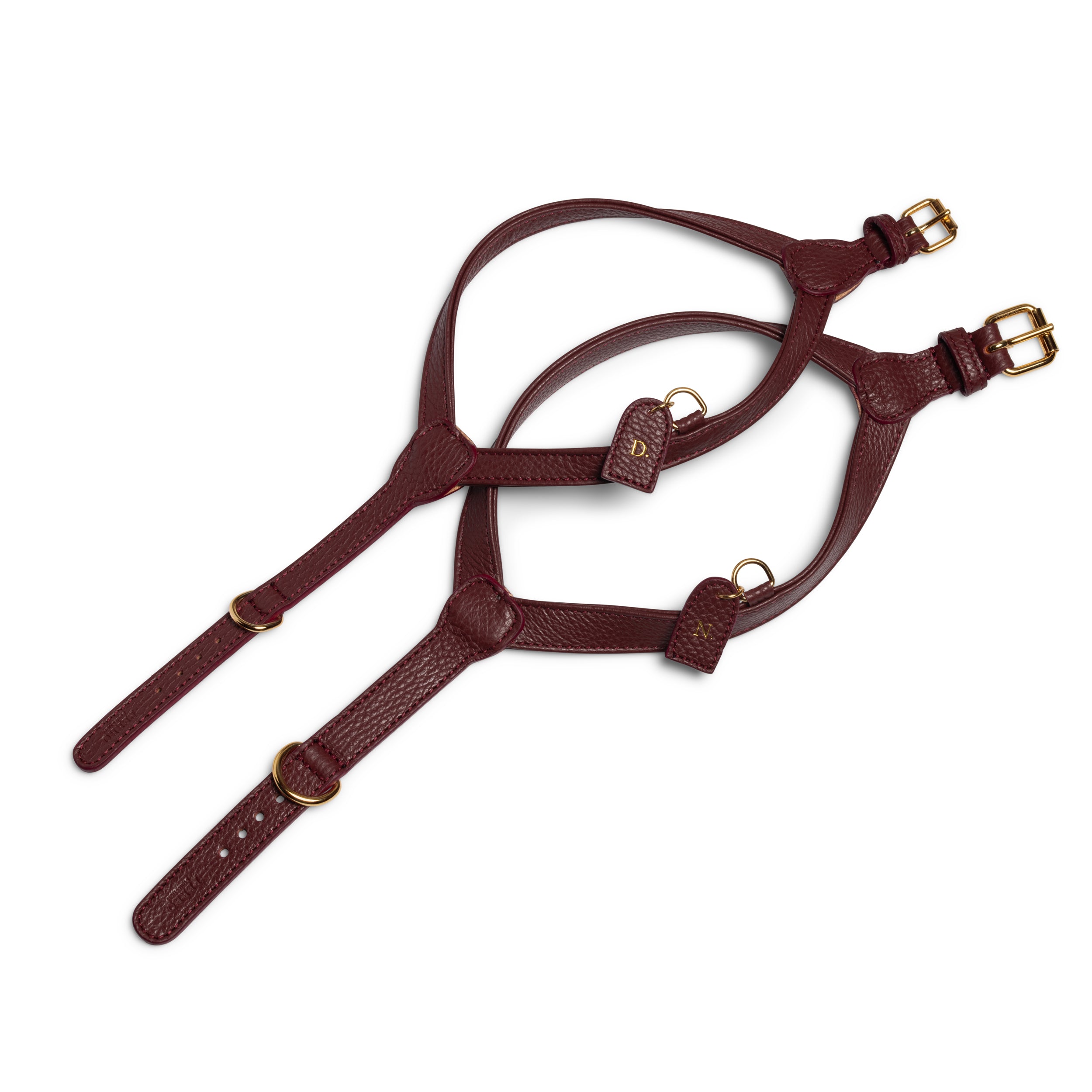 Burgundy harness