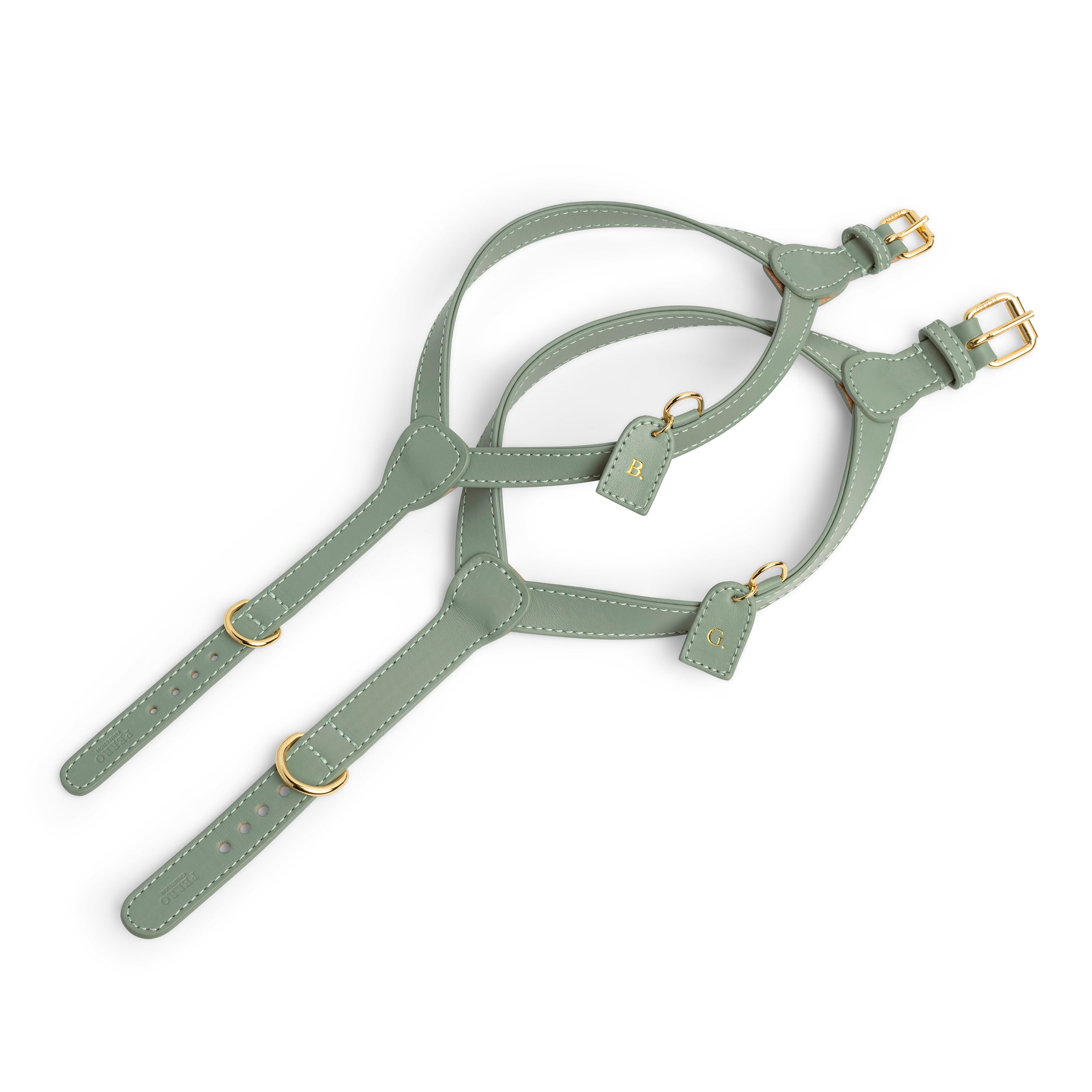 Sage harness