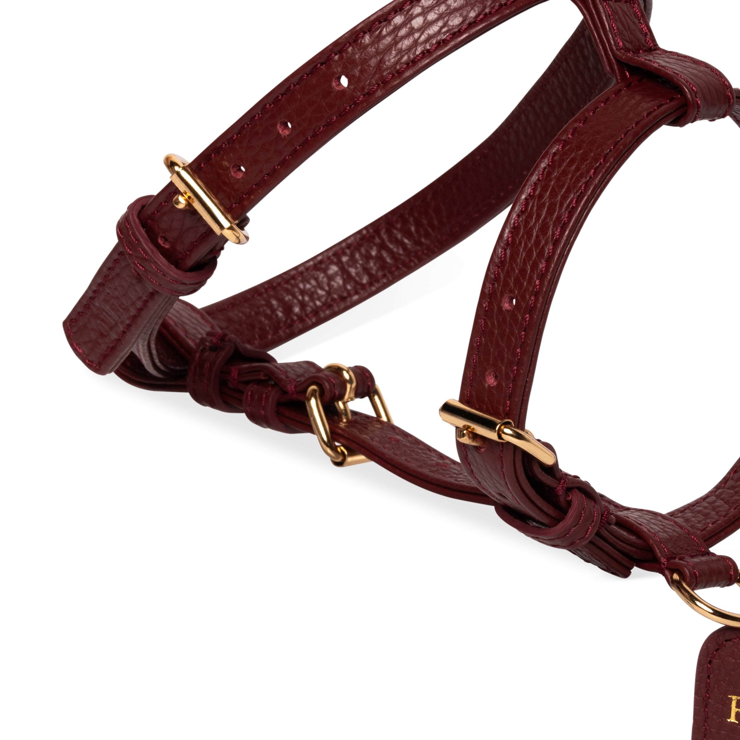 Burgundy H-harness