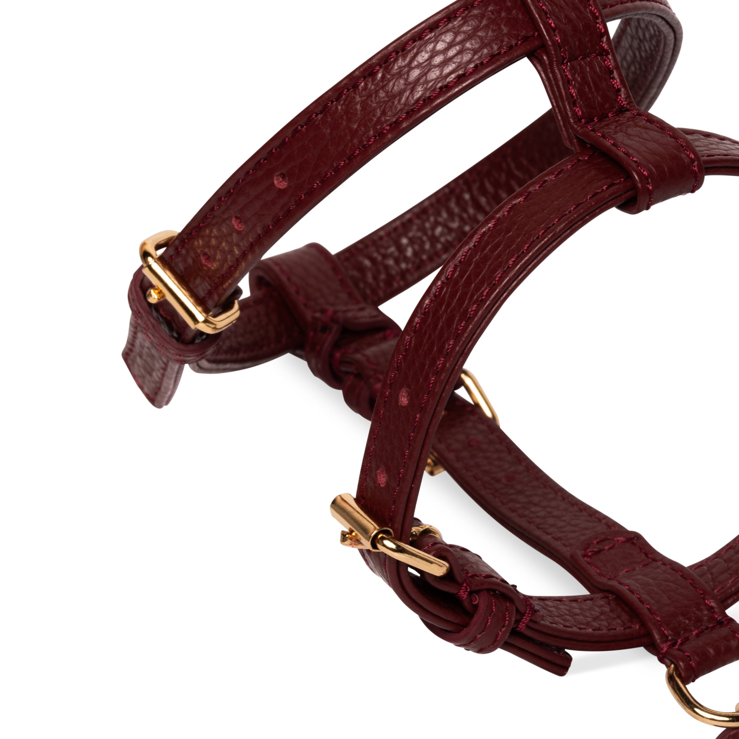 Burgundy H-harness
