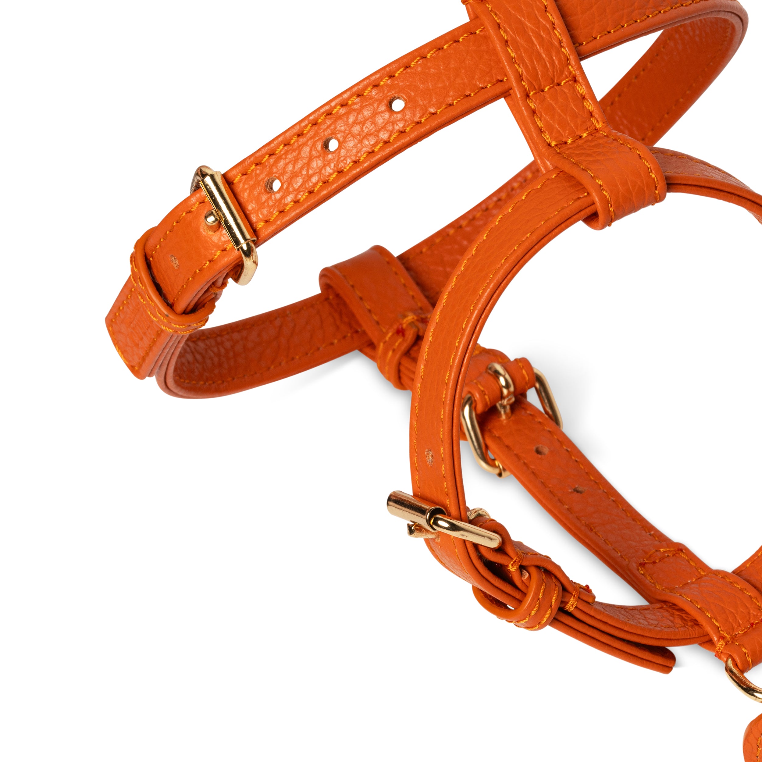 Orange H-harness