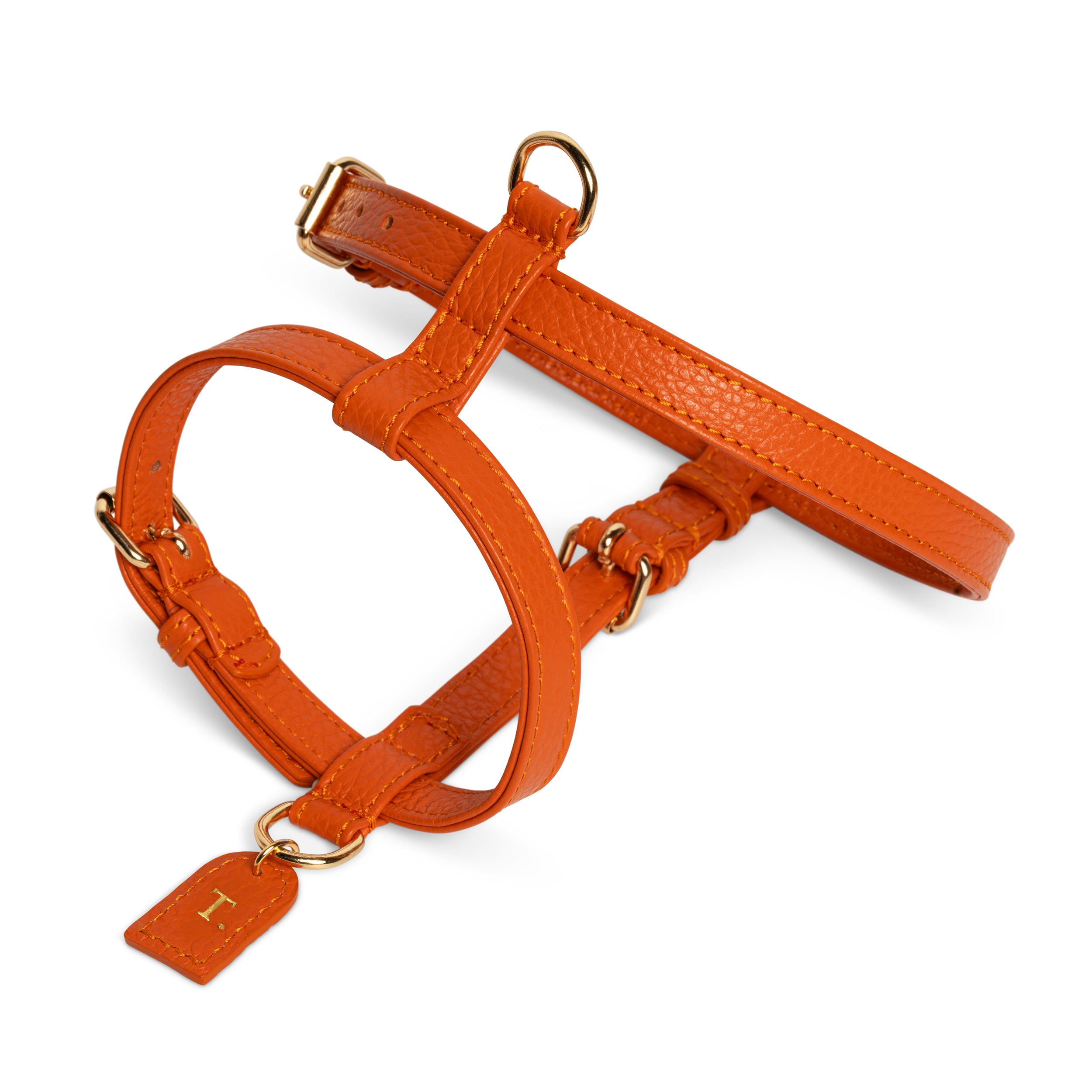 Orange H-harness