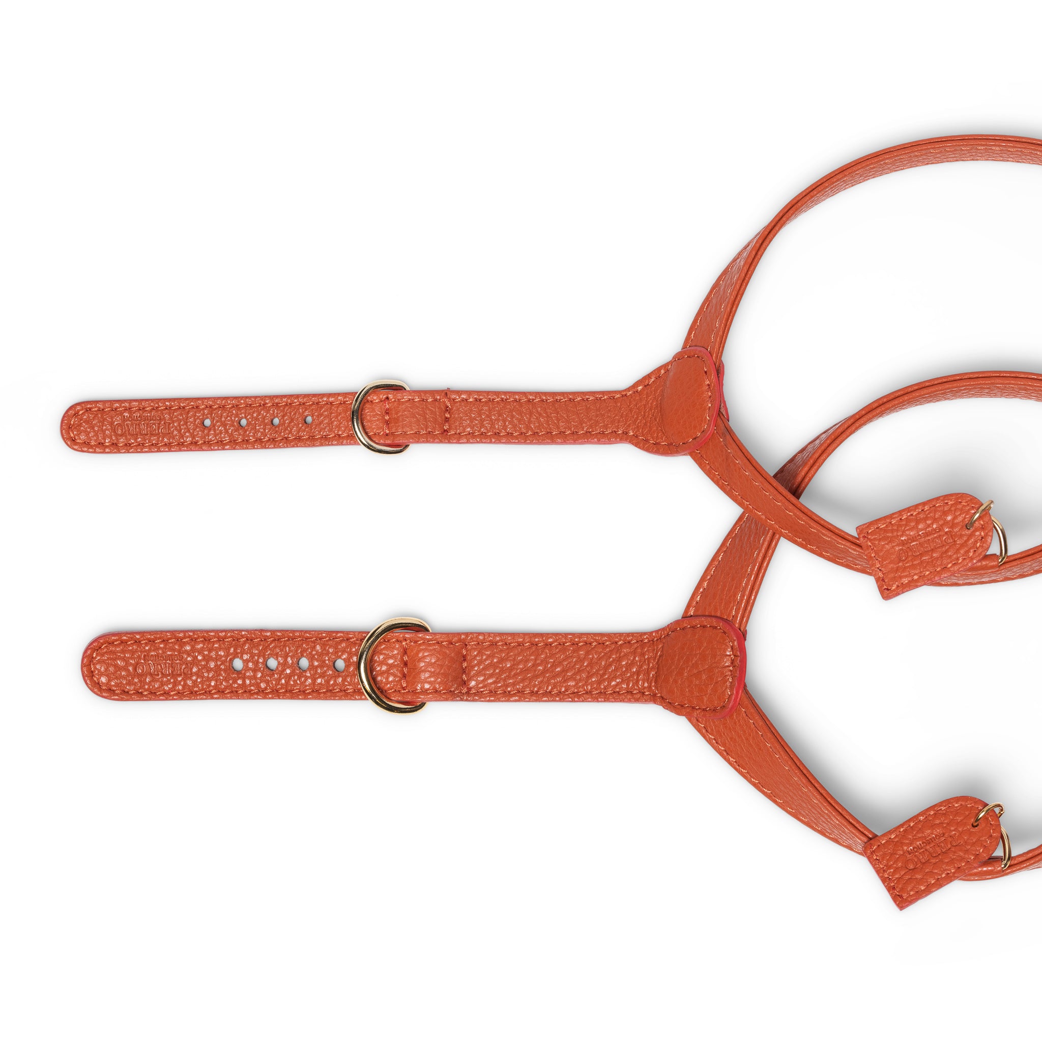 Ginger harnesses
