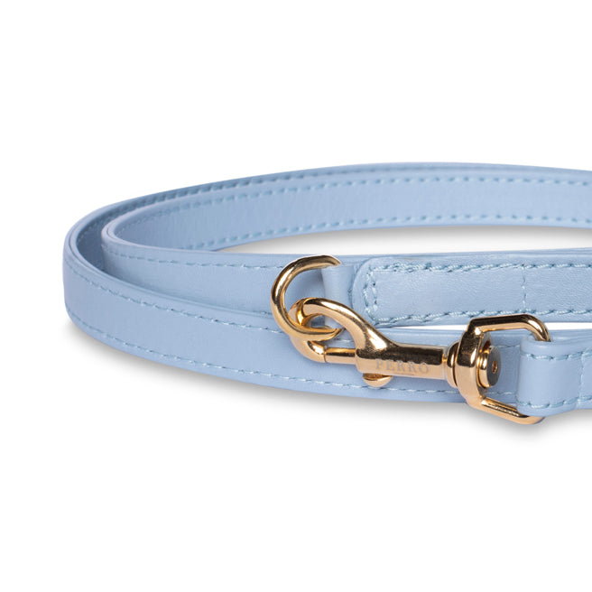 Powder Blue Leash