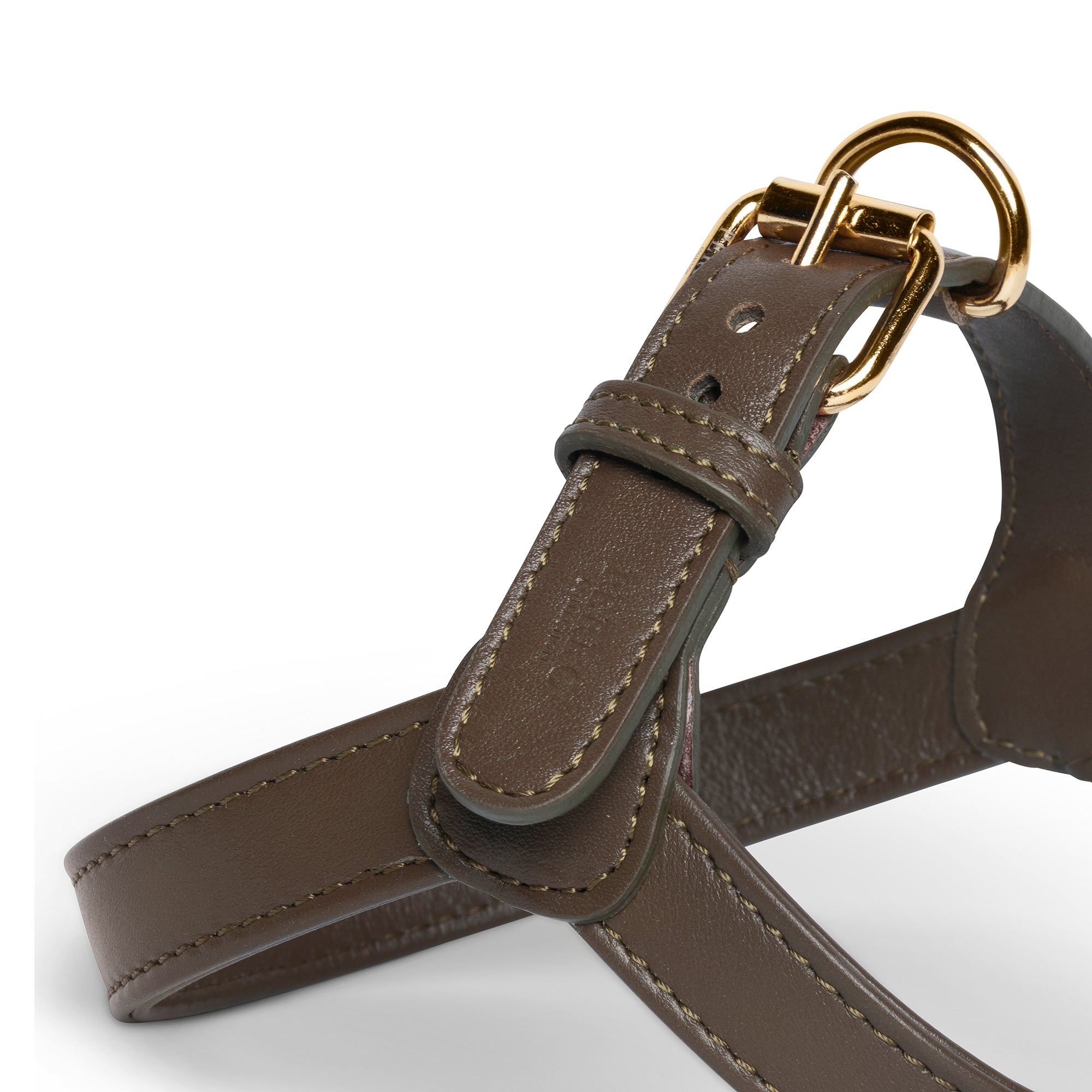 truffle harness