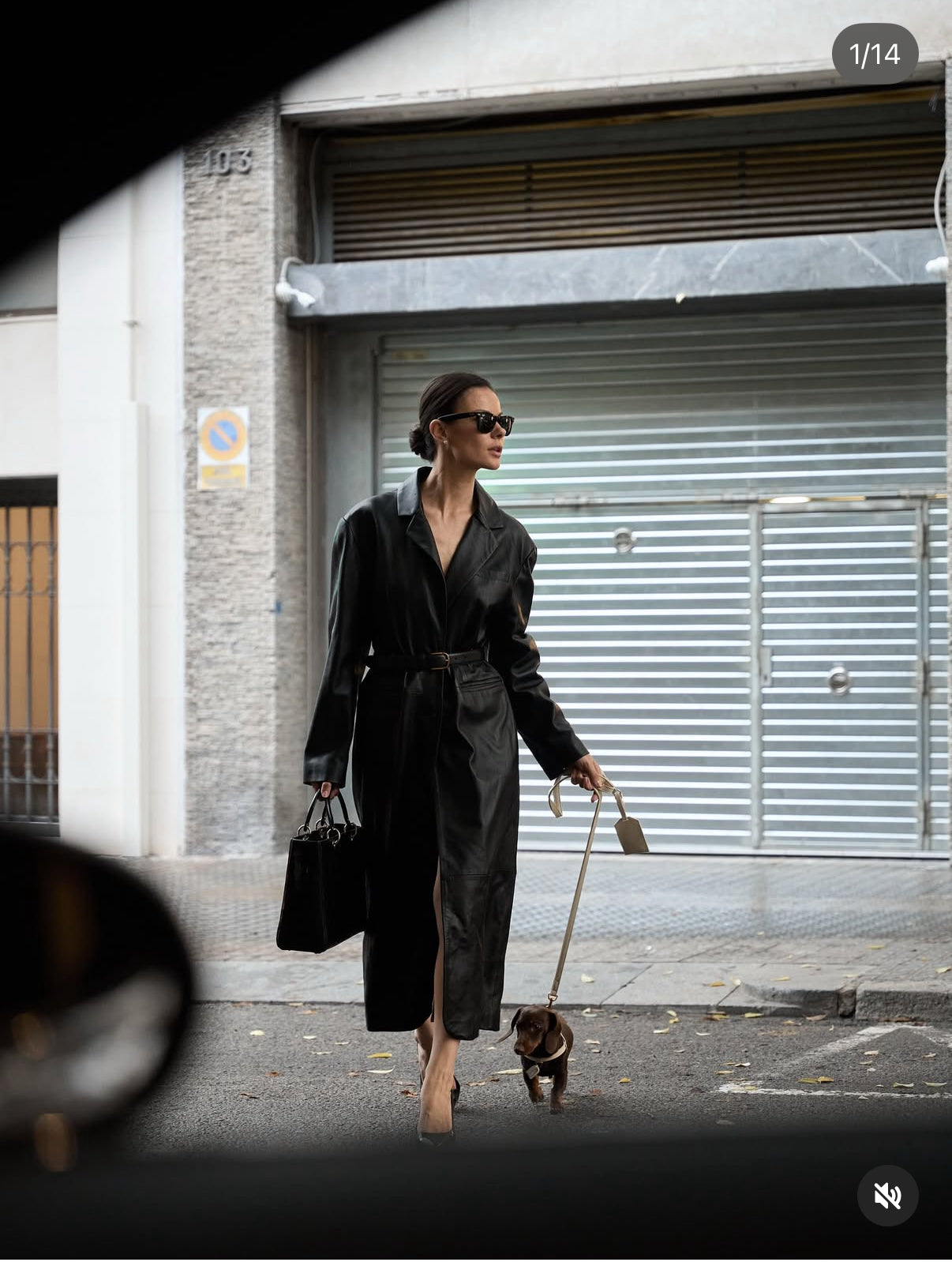 Dog-Friendly London: Where to Walk, Eat and Be Seen with Your Dog | Perro Collection