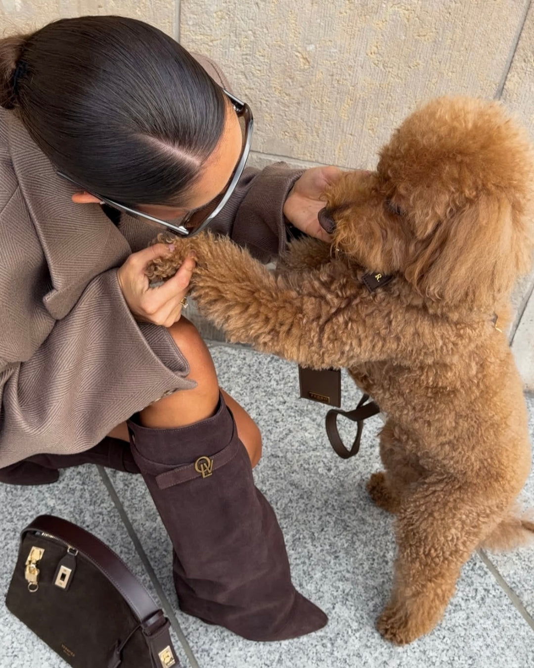 Types of Dog Harnesses: Which One to Choose