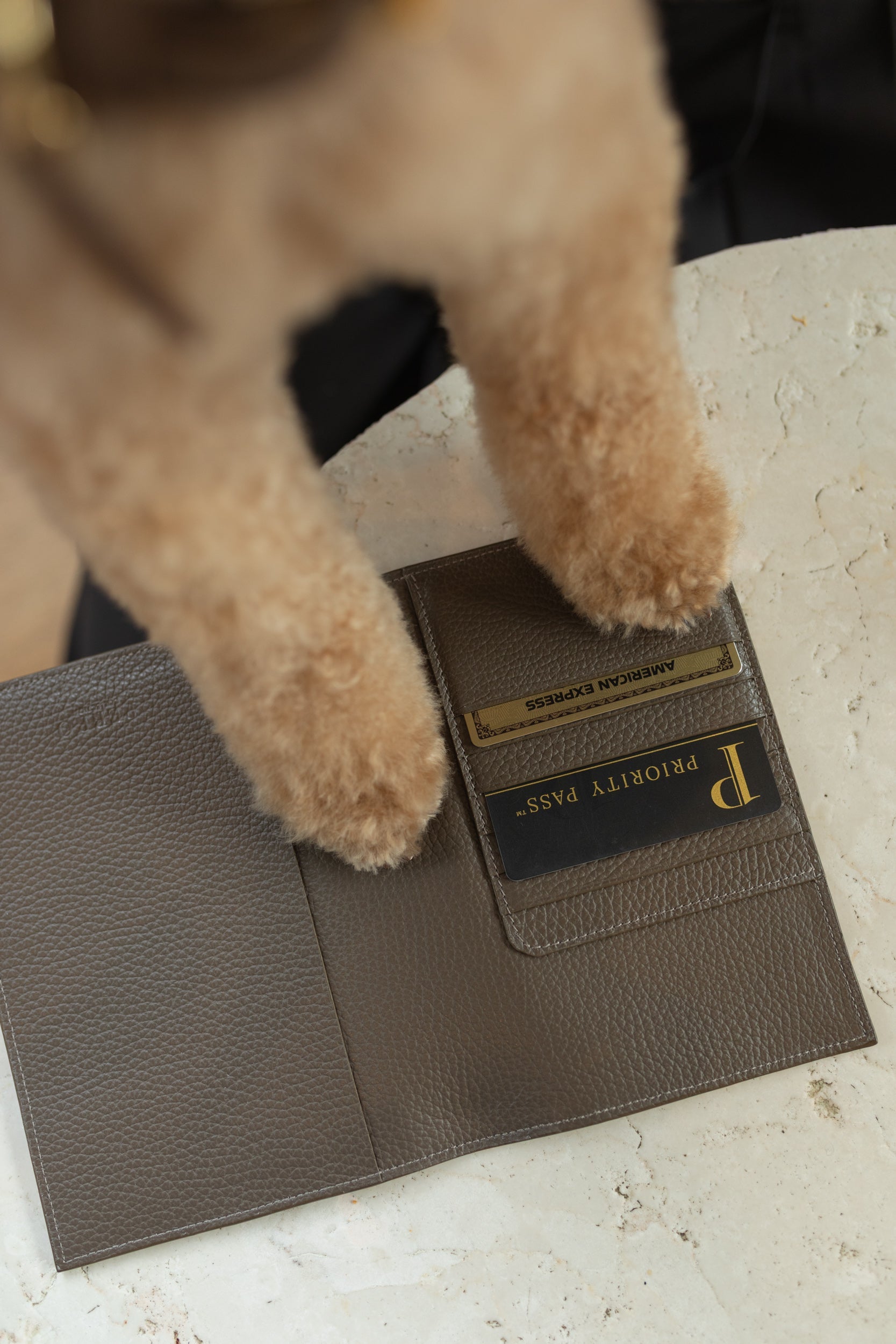 Passport Holders