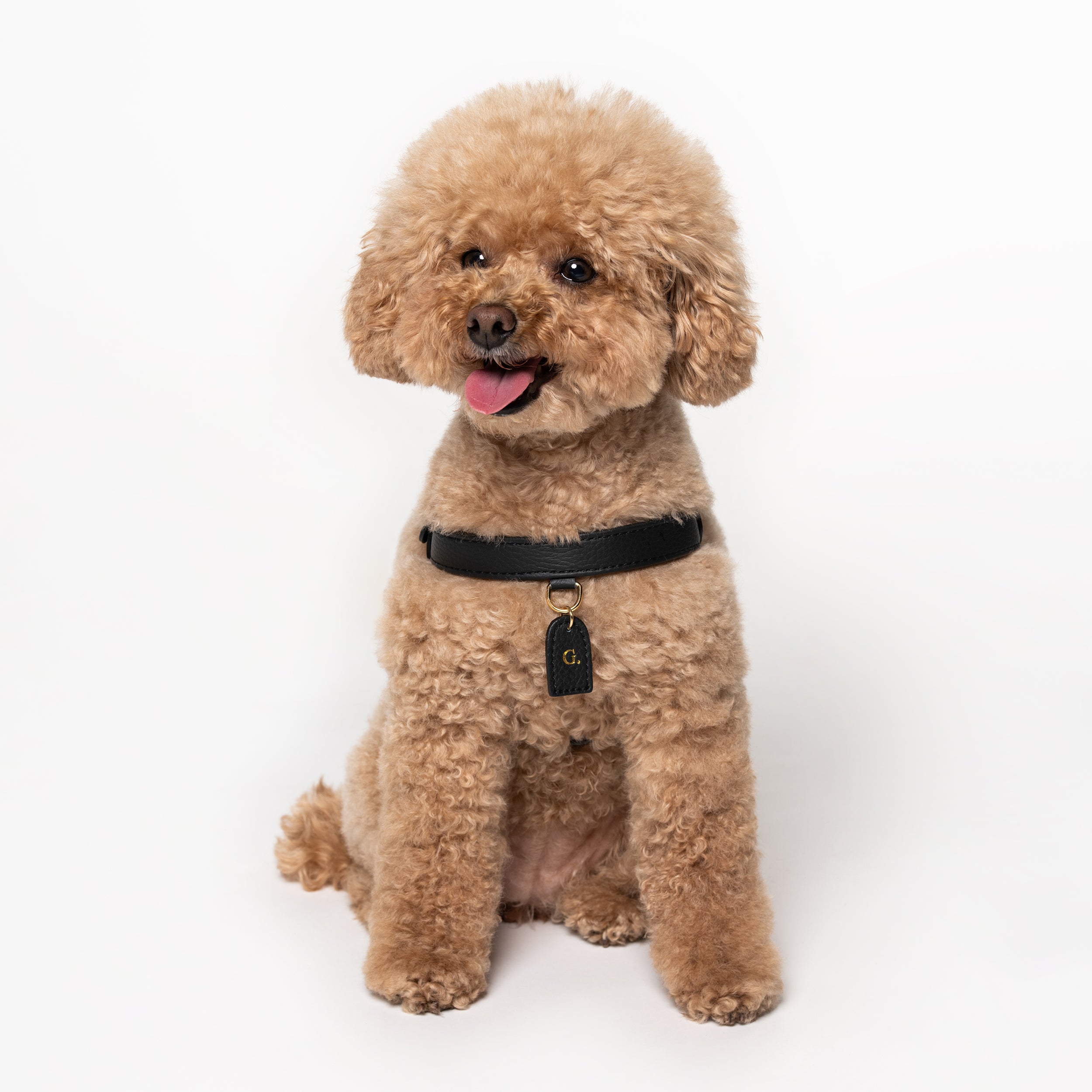 Nero harness