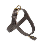 Bronze harness