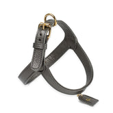 Lithium harness