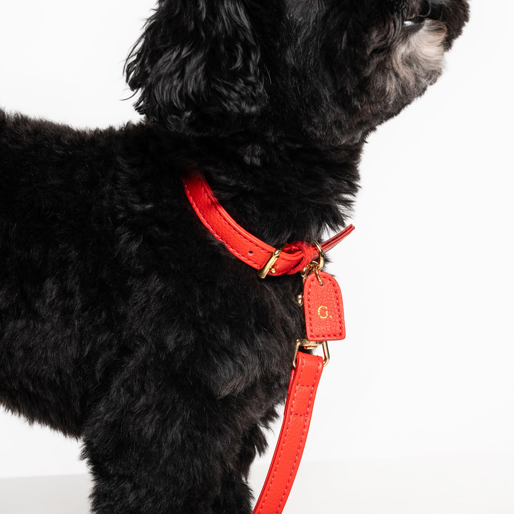 Fiamma collar