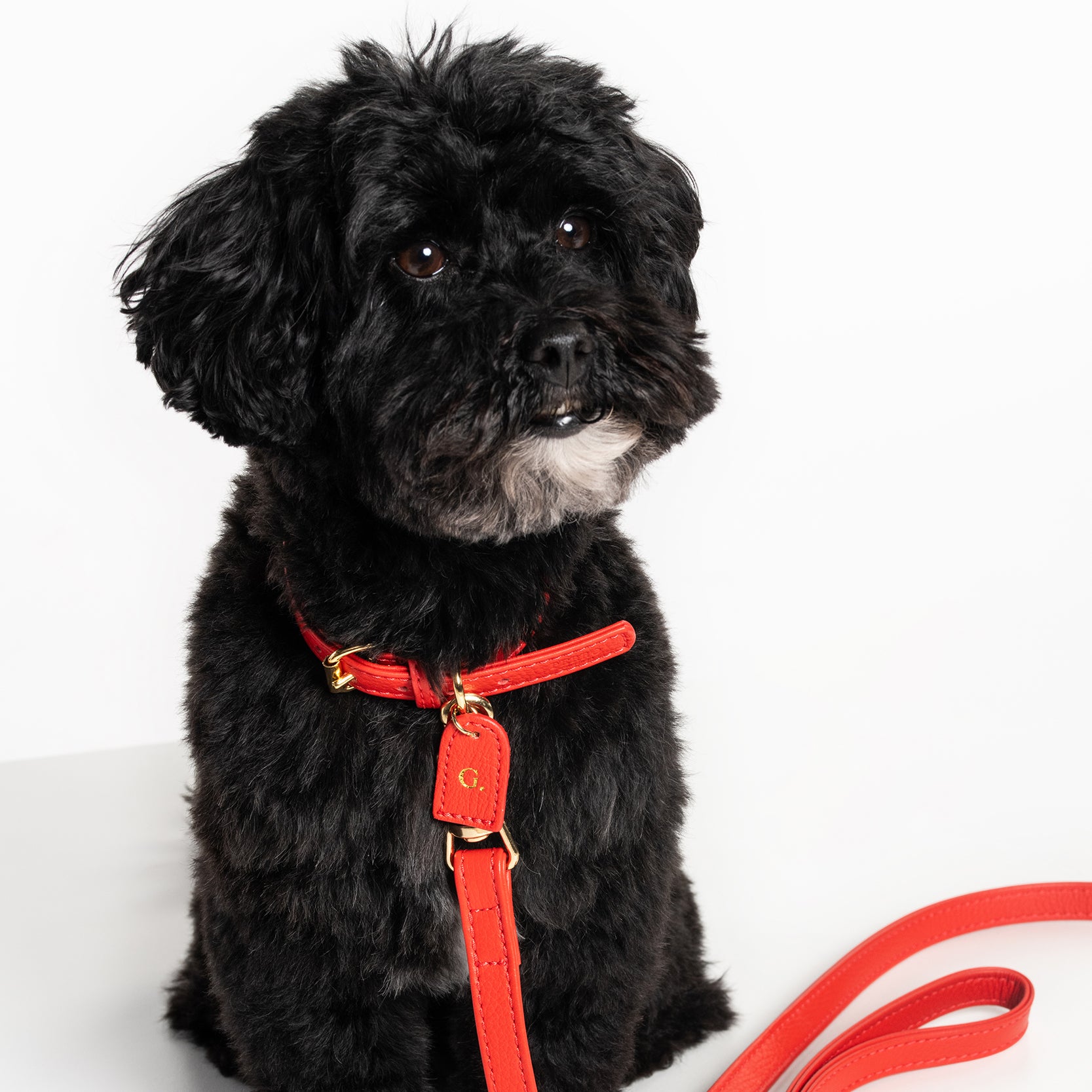 Fiamma collar