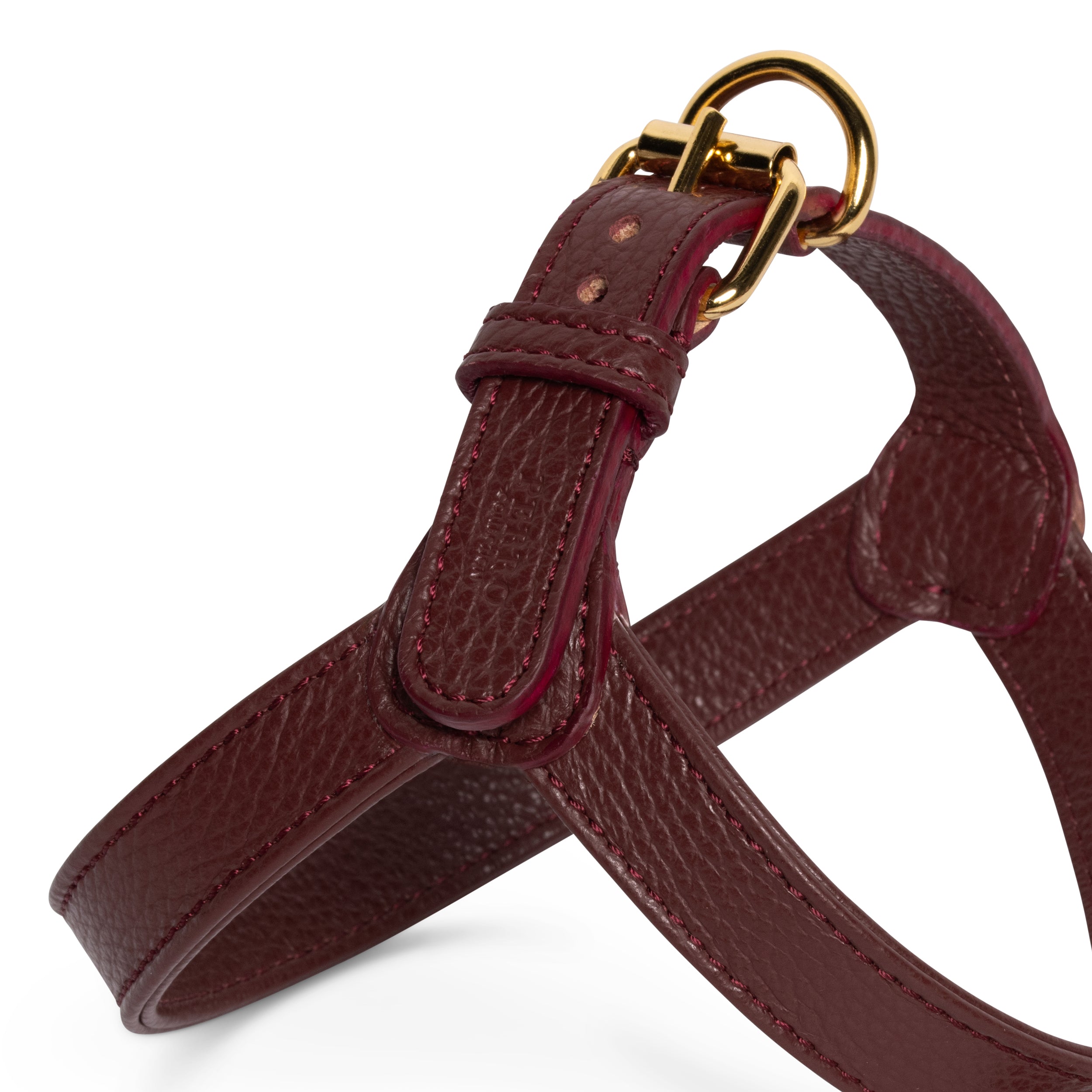 Burgundy harness