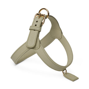 Khaki harness