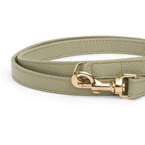 Khaki leash