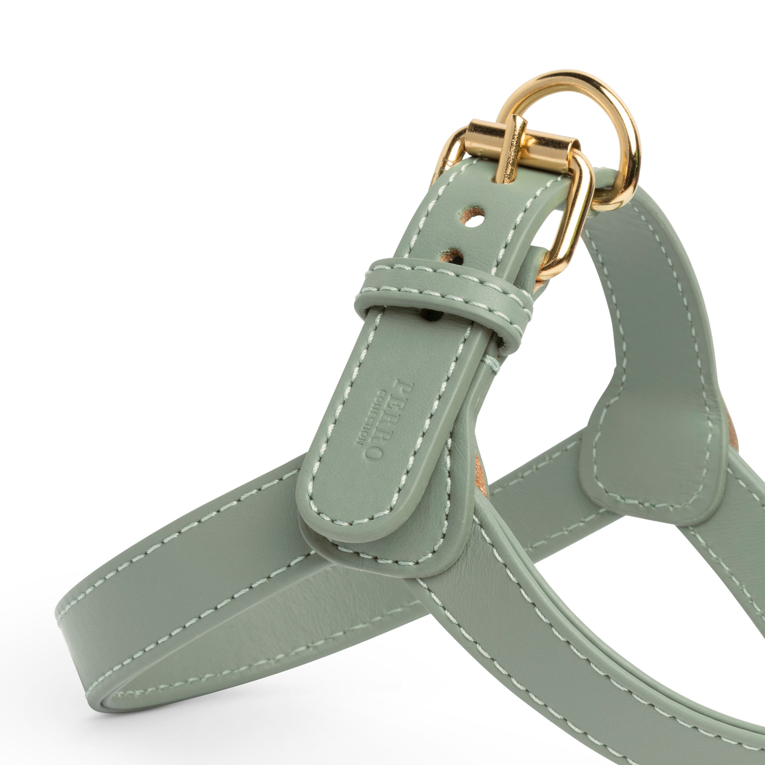 Sage harness
