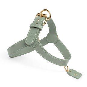 Green Harness and Leash Set