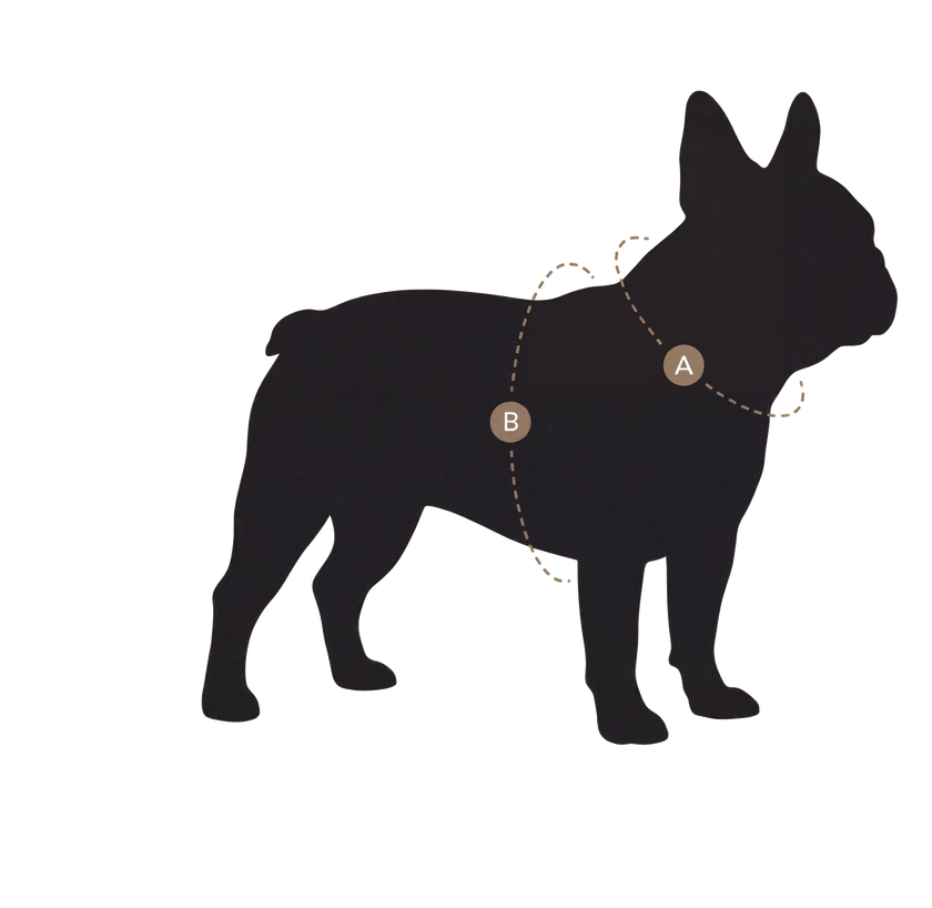 Silhouette di un Bulldog Francese con i punti di misurazione A (collo) e B (torace)