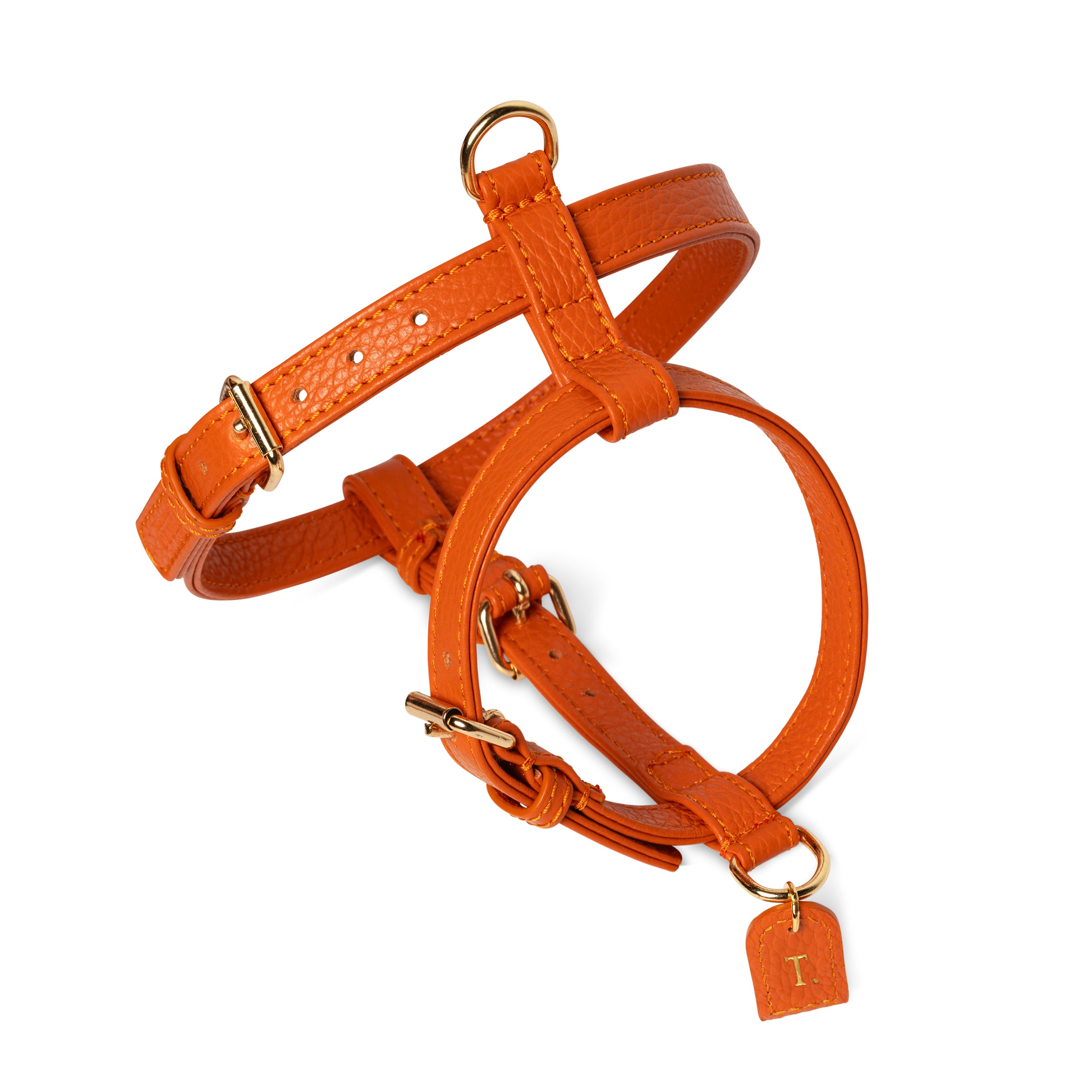 Orange H-harness