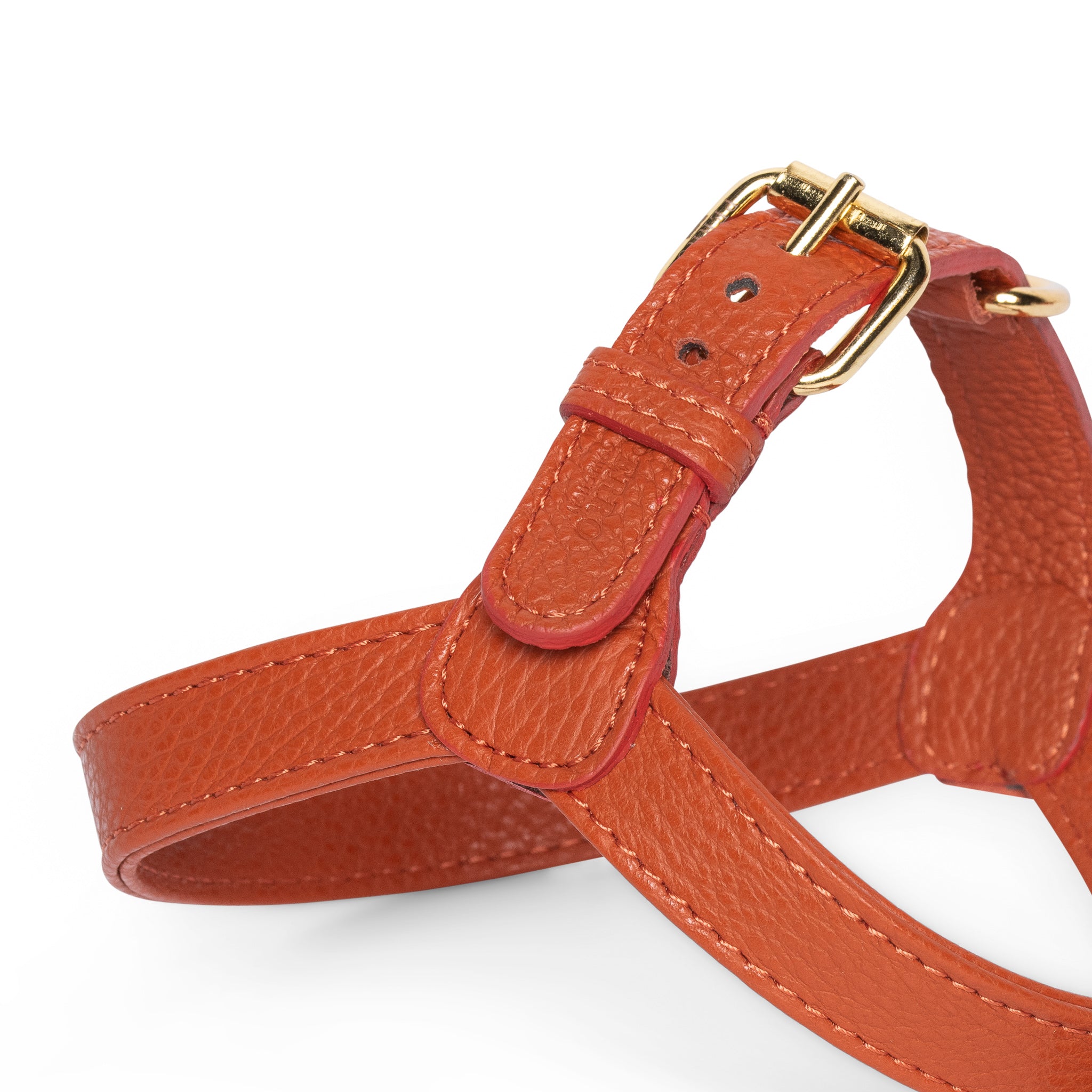 Ginger harness