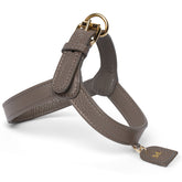 Cacao harness