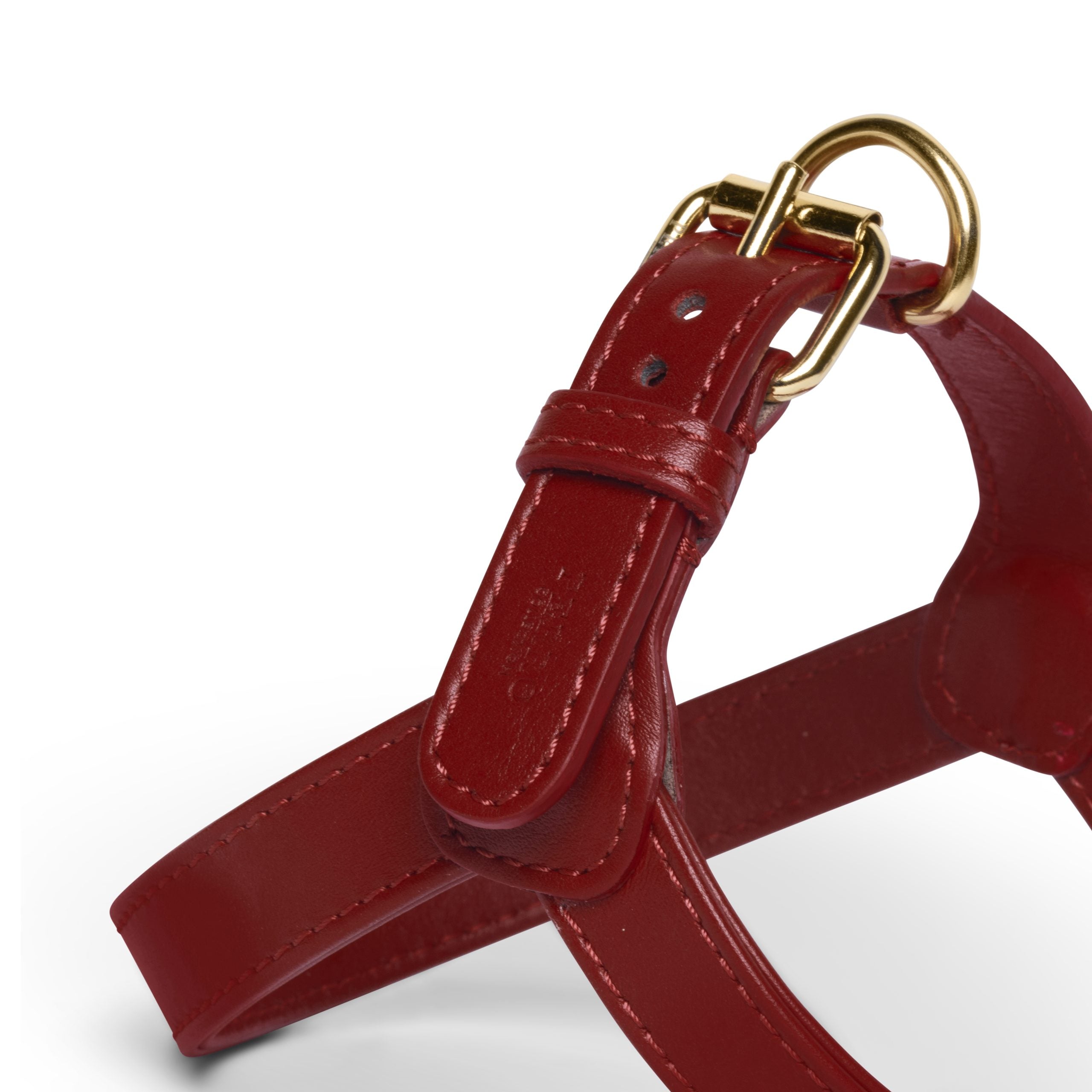 scarlet harness