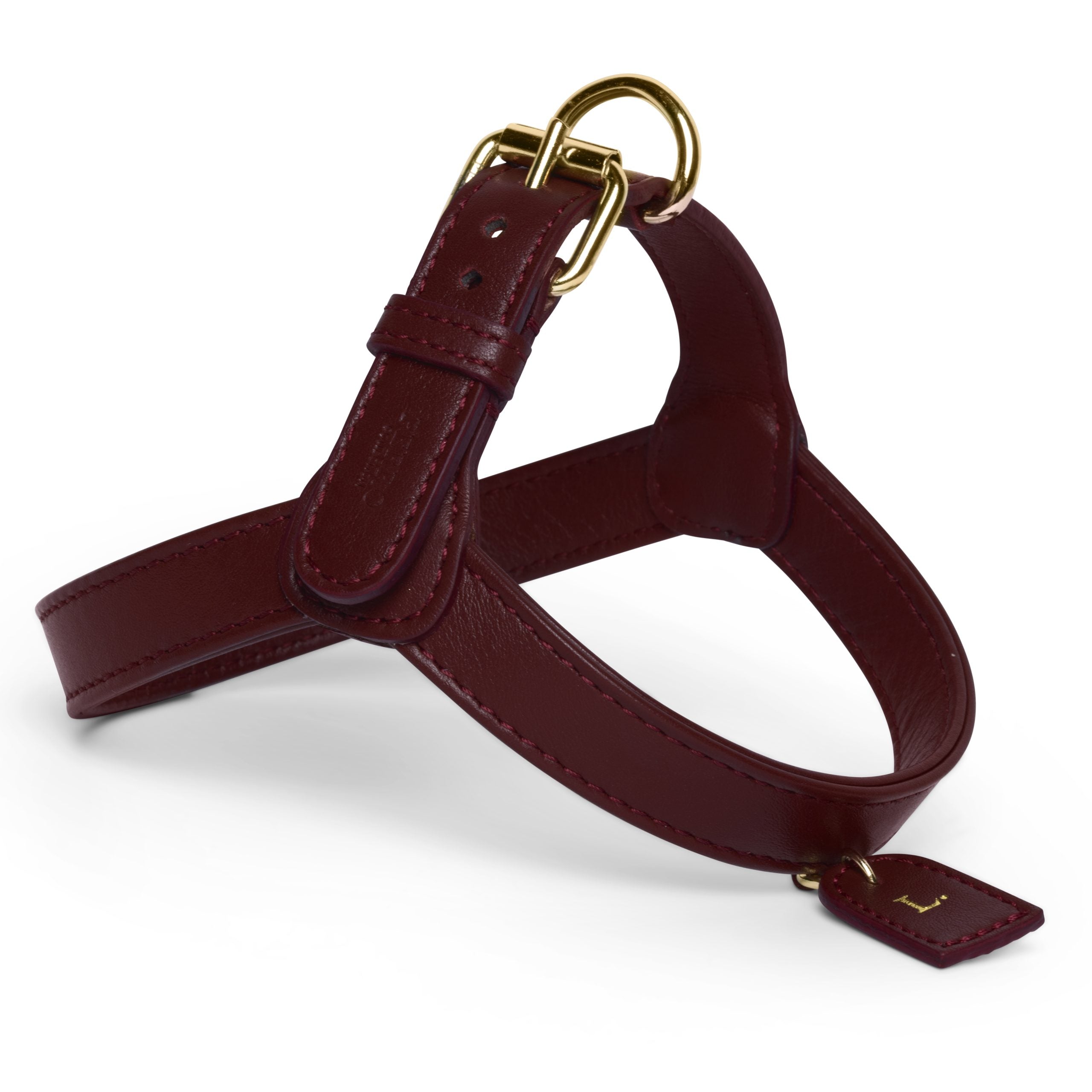Harness01