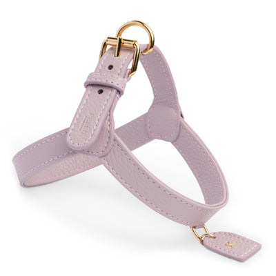 Lila Step-in-Geschirr