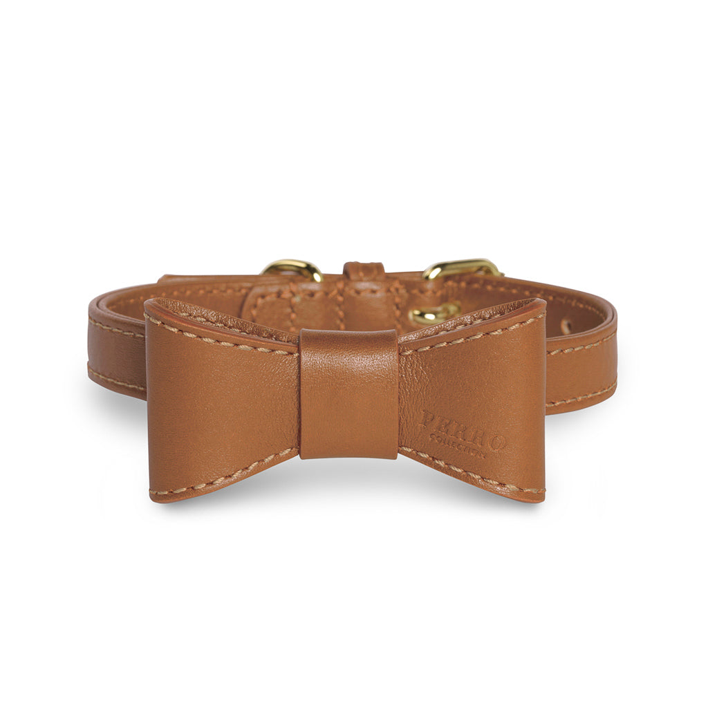 Bowtie on dog collar